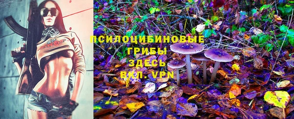 трава Аркадак
