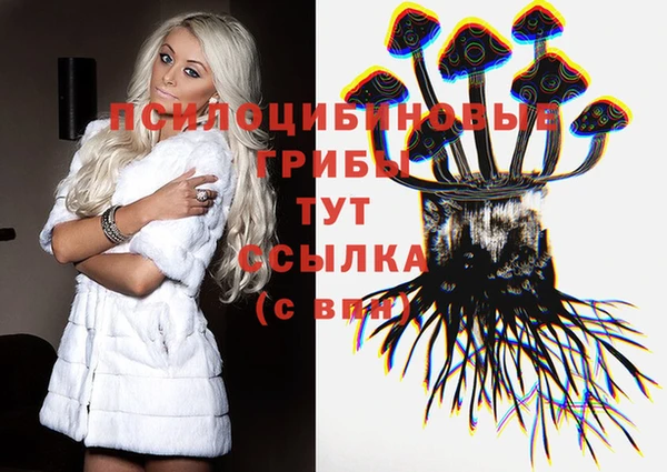 трава Аркадак